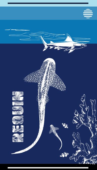 Serviette de plage - Drap de plage